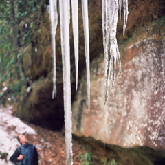 Ice on the Sheltowee Trace